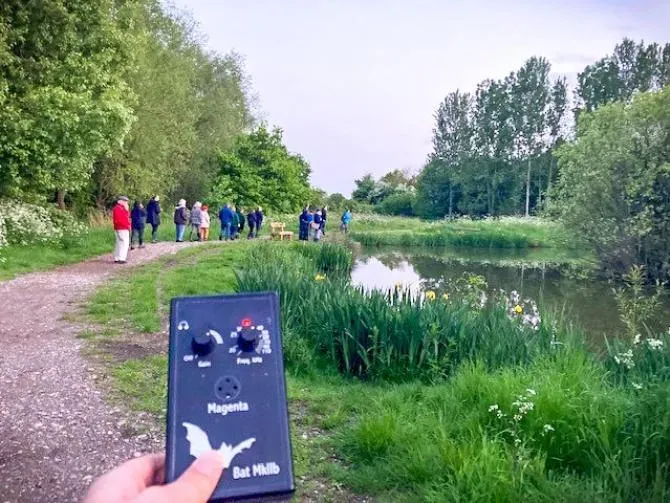 Dusk Patrols: Seven Riverside Rambles for Guaranteed Bat Watching on Teesside